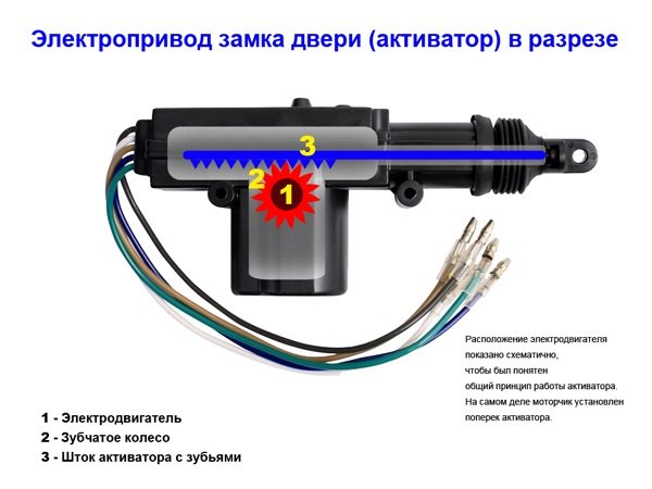 Почему не работает центральный замок, как устранить неисправности своими руками? Почему не работает центральный замок, как устранить неисправности своими руками?